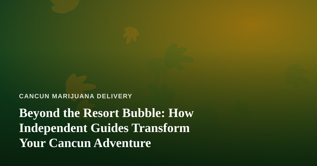 Beyond the Resort Bubble: How Independent Guides Transform Your Cancun Adventure