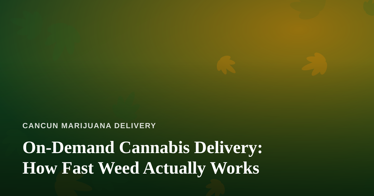 On-Demand Cannabis Delivery: How Fast Weed Actually Works