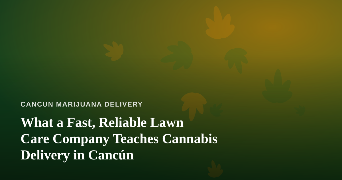 What a Fast, Reliable Lawn Care Company Teaches Cannabis Delivery in Cancún