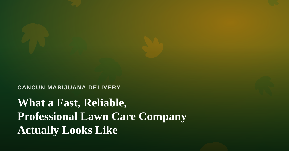 What a Fast, Reliable, Professional Lawn Care Company Actually Looks Like